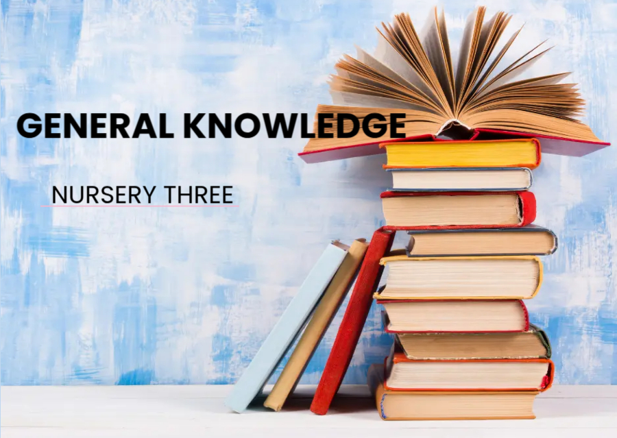 GENERAL KNOWLEDGE N3